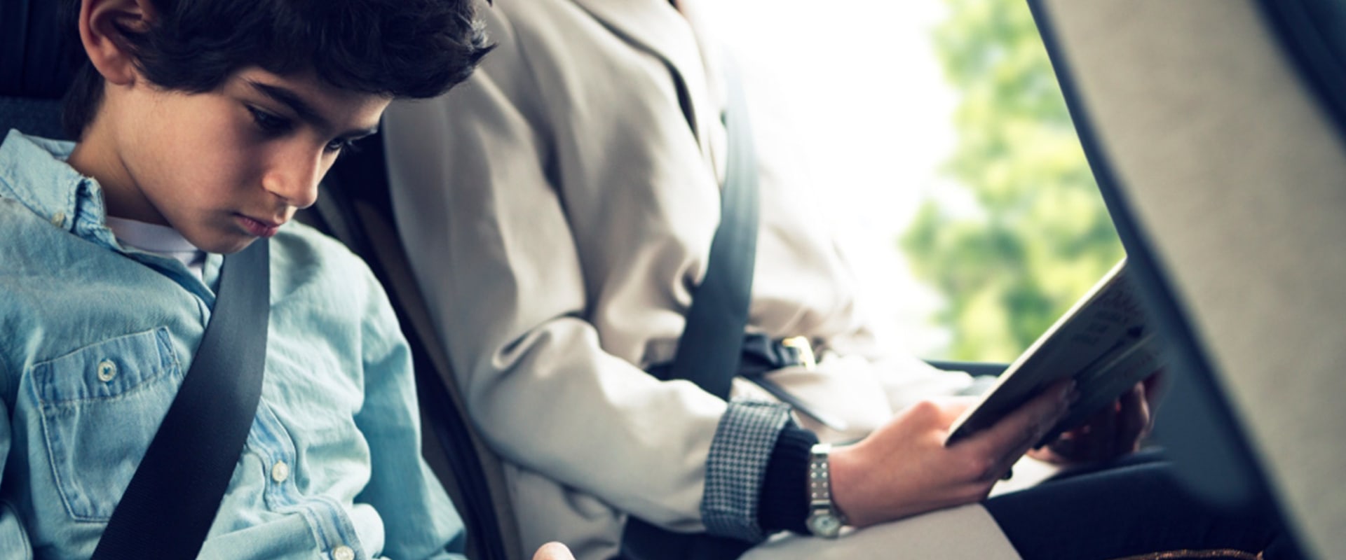 Seatbelt Requirements: A Comprehensive Overview