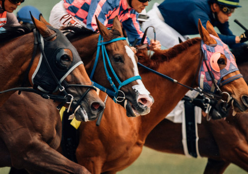 Analyzing Performance After a Race: Tips and Techniques for Winning Races